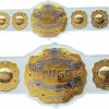 NUS Iwgp Intercontinental Championship Belt Adult Size White | Belts